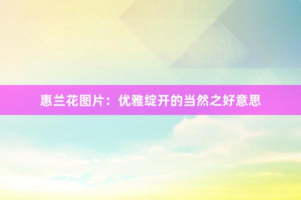 惠兰花图片：优雅绽开的当然之好意思