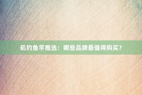 矶钓鱼竿推选：哪些品牌最值得购买？