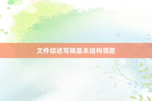 文件综述写稿基本结构领路